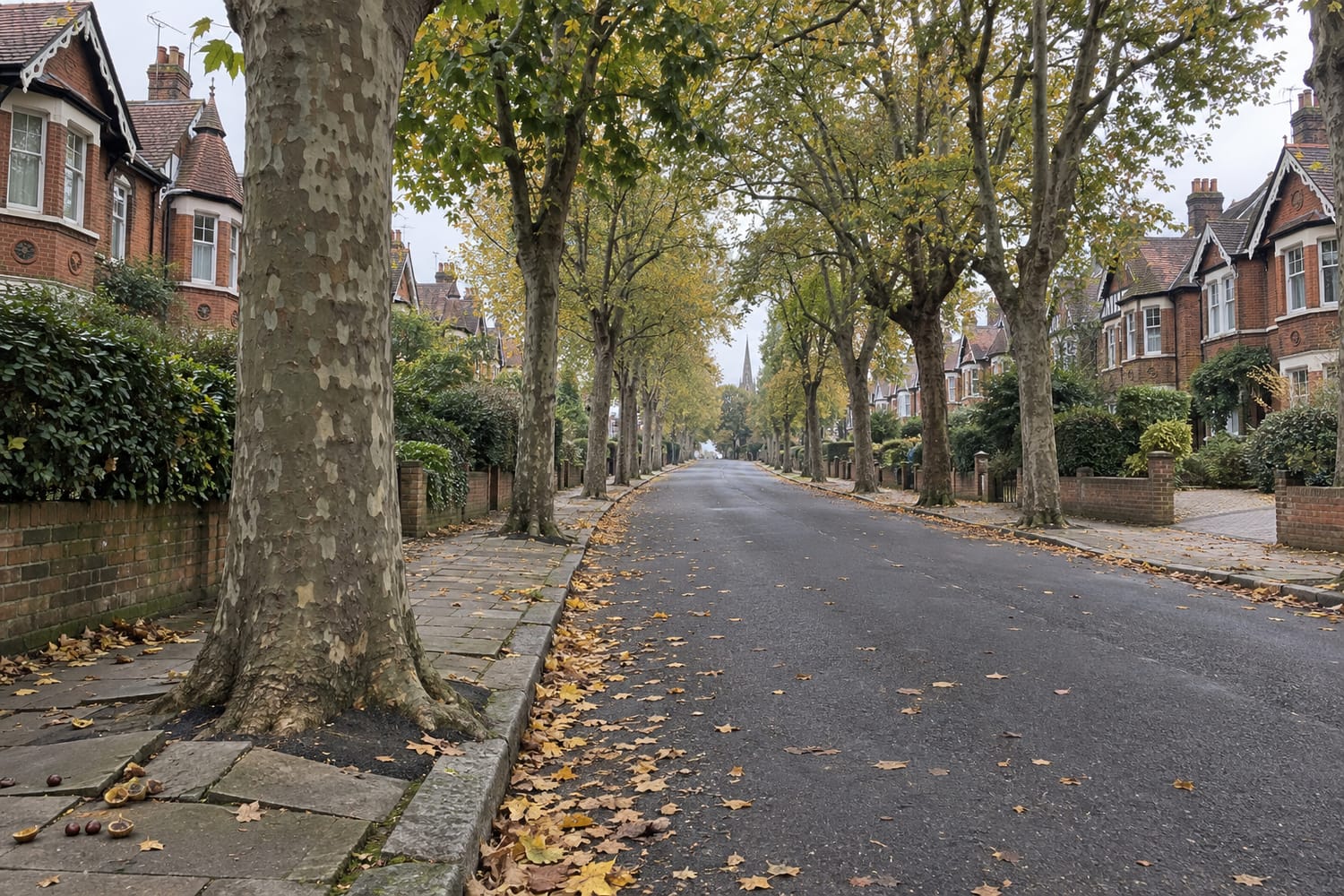 A broad avenue lined with plane trees and large red brick houses, rising toward a distant church spire on an overcast autumn day