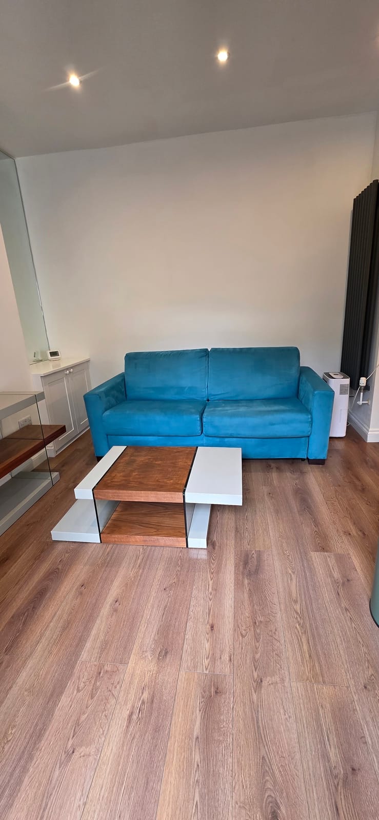 Living room with a blue sofa and a wooden floor