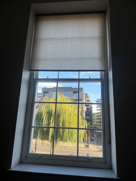 Sash window with a blind and a view of a willow tree